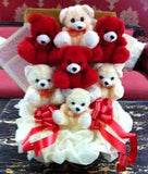 Teddy all type