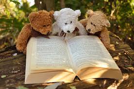 Teddy on book