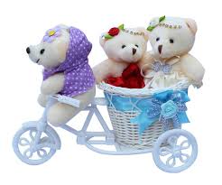 Teddy Bicycle