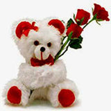 Rose Teddy