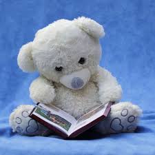 Teddy with book